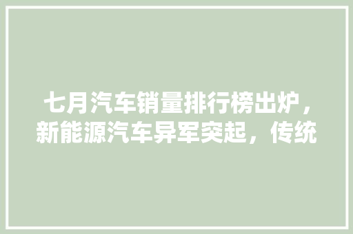 七月汽车销量排行榜出炉，新能源汽车异军突起，传统车企面临挑战