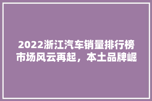 2022浙江汽车销量排行榜市场风云再起，本土品牌崛起