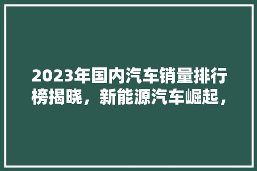 2023年国内汽车销量排行榜揭晓，新能源汽车崛起，合资品牌面临挑战