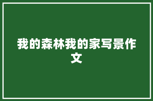 五月新上市汽车品牌排行榜洞察市场趋势，品牌新势力