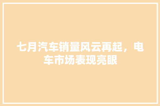 七月汽车销量风云再起，电车市场表现亮眼
