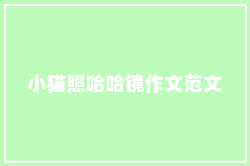 世界一流品牌汽车皮带排行榜品质与技术的完美融合