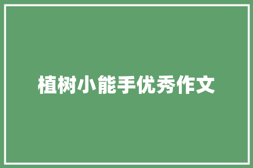 2023年12月汽车销量排行榜揭晓新能源汽车崛起，市场格局再塑