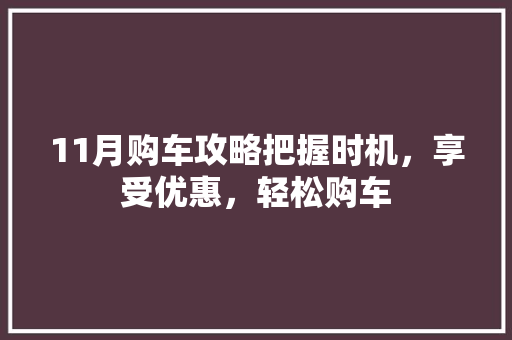 11月购车攻略把握时机，享受优惠，轻松购车