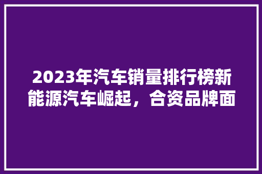 2023年汽车销量排行榜新能源汽车崛起，合资品牌面临挑战