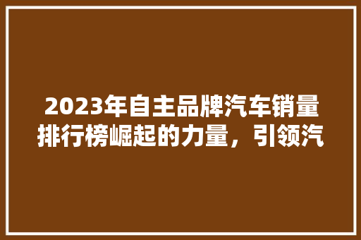 2023年自主品牌汽车销量排行榜崛起的力量，引领汽车行业新篇章
