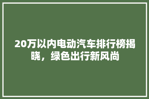 20万以内电动汽车排行榜揭晓，绿色出行新风尚