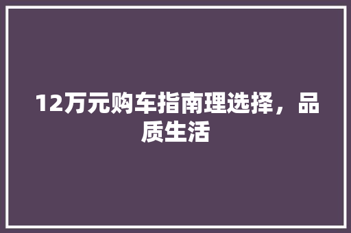 12万元购车指南理选择，品质生活