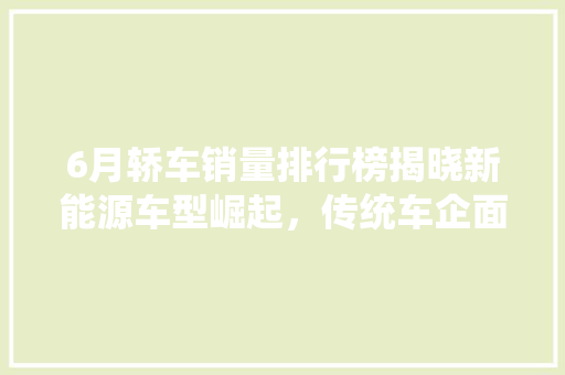 6月轿车销量排行榜揭晓新能源车型崛起，传统车企面临挑战