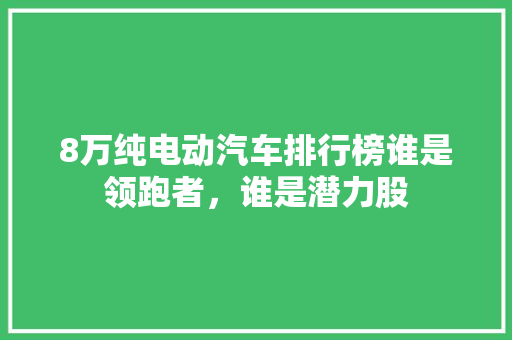 8万纯电动汽车排行榜谁是领跑者，谁是潜力股