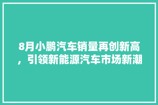 8月小鹏汽车销量再创新高，引领新能源汽车市场新潮流