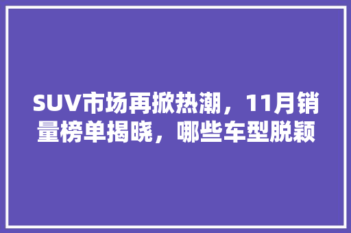 SUV市场再掀热潮，11月销量榜单揭晓，哪些车型脱颖而出