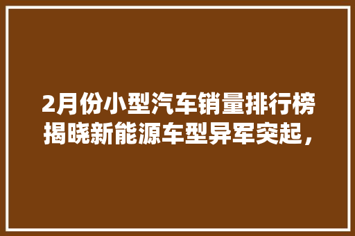 2月份小型汽车销量排行榜揭晓新能源车型异军突起，传统燃油车市场面临挑战