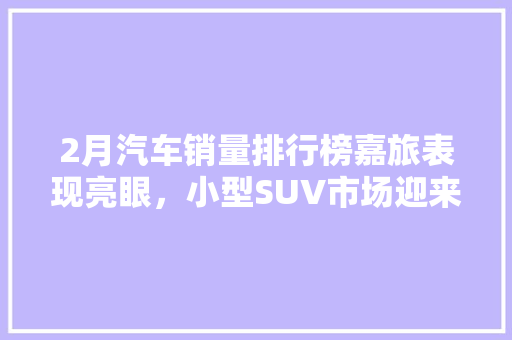 2月汽车销量排行榜嘉旅表现亮眼，小型SUV市场迎来新格局