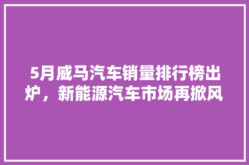 5月威马汽车销量排行榜出炉，新能源汽车市场再掀风云
