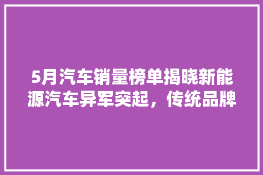 5月汽车销量榜单揭晓新能源汽车异军突起，传统品牌稳中求进