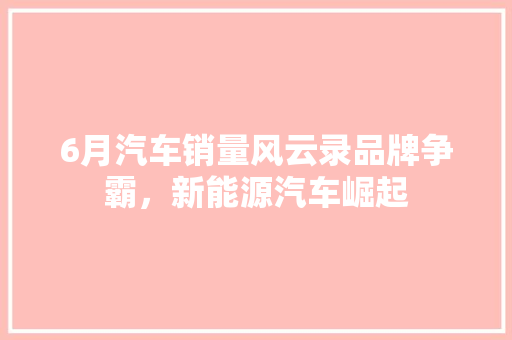 6月汽车销量风云录品牌争霸，新能源汽车崛起