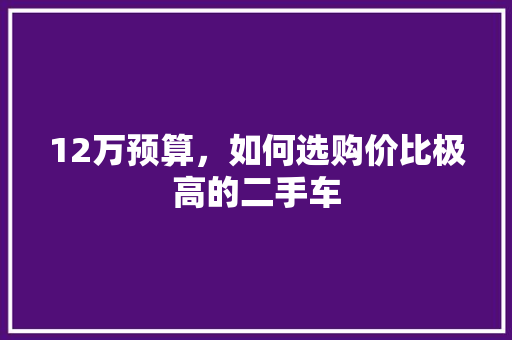 12万预算，如何选购价比极高的二手车