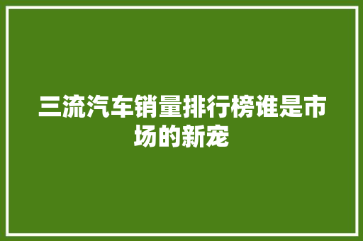 三流汽车销量排行榜谁是市场的新宠
