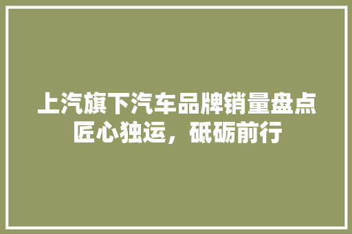 上汽旗下汽车品牌销量盘点匠心独运，砥砺前行