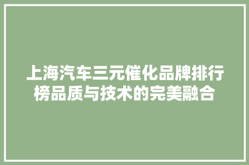 上海汽车三元催化品牌排行榜品质与技术的完美融合