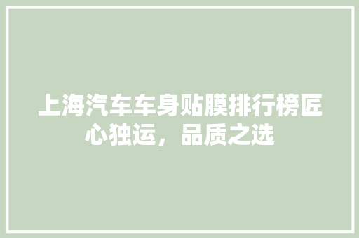 上海汽车车身贴膜排行榜匠心独运，品质之选