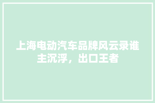 上海电动汽车品牌风云录谁主沉浮，出口王者