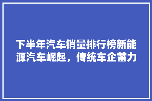 下半年汽车销量排行榜新能源汽车崛起，传统车企蓄力待发