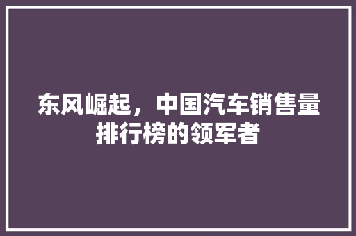 东风崛起，中国汽车销售量排行榜的领军者