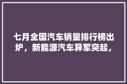 七月全国汽车销量排行榜出炉，新能源汽车异军突起，传统车企面临挑战