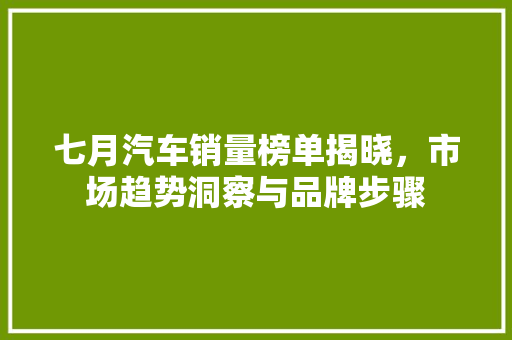 七月汽车销量榜单揭晓，市场趋势洞察与品牌步骤