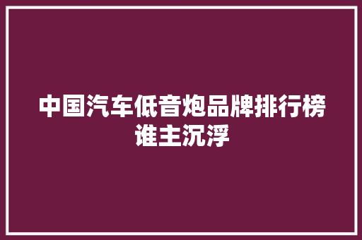 中国汽车低音炮品牌排行榜谁主沉浮