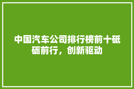 中国汽车公司排行榜前十砥砺前行，创新驱动
