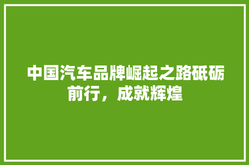 中国汽车品牌崛起之路砥砺前行，成就辉煌