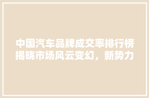 中国汽车品牌成交率排行榜揭晓市场风云变幻，新势力崛起
