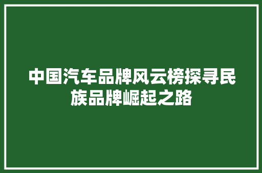 中国汽车品牌风云榜探寻民族品牌崛起之路