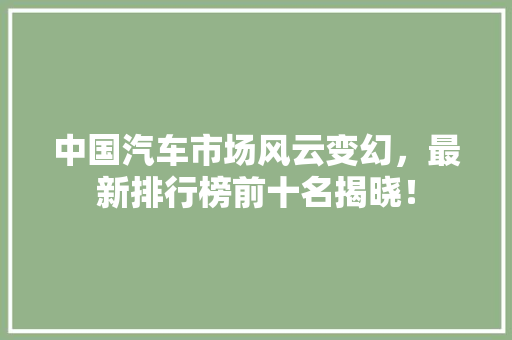 中国汽车市场风云变幻，最新排行榜前十名揭晓！