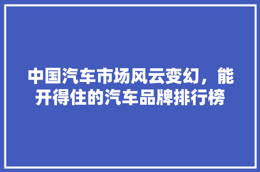 中国汽车市场风云变幻，能开得住的汽车品牌排行榜