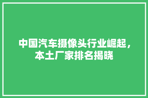 中国汽车摄像头行业崛起，本土厂家排名揭晓