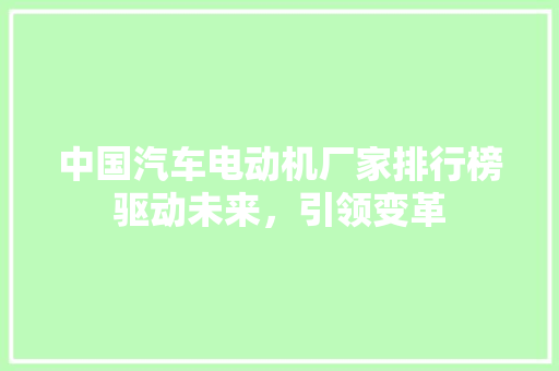 中国汽车电动机厂家排行榜驱动未来，引领变革