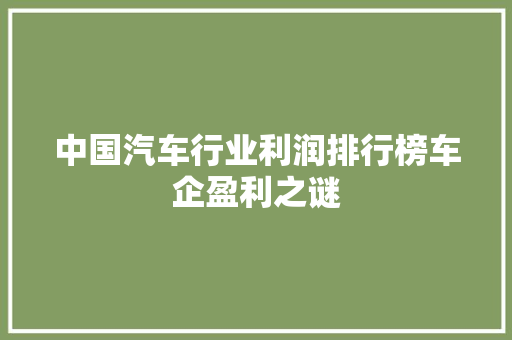 中国汽车行业利润排行榜车企盈利之谜