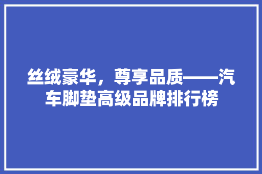 丝绒豪华，尊享品质——汽车脚垫高级品牌排行榜