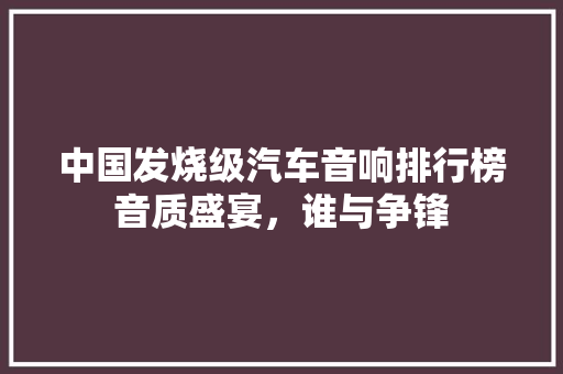 中国发烧级汽车音响排行榜音质盛宴，谁与争锋