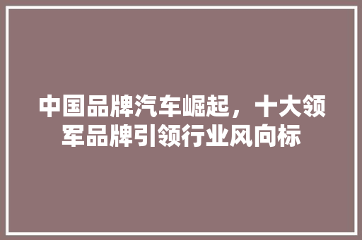 中国品牌汽车崛起，十大领军品牌引领行业风向标