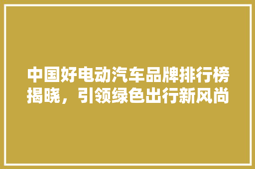 中国好电动汽车品牌排行榜揭晓，引领绿色出行新风尚