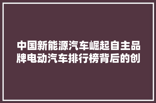 中国新能源汽车崛起自主品牌电动汽车排行榜背后的创新与突破