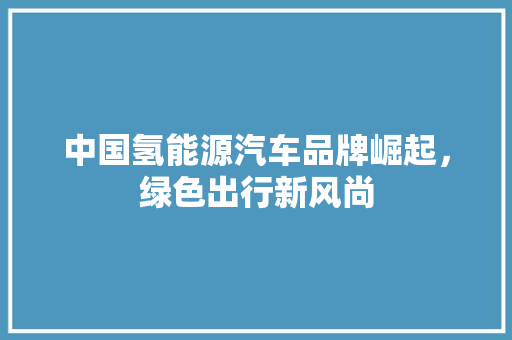 中国氢能源汽车品牌崛起，绿色出行新风尚
