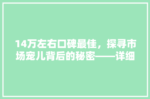 14万左右口碑最佳，探寻市场宠儿背后的秘密——详细