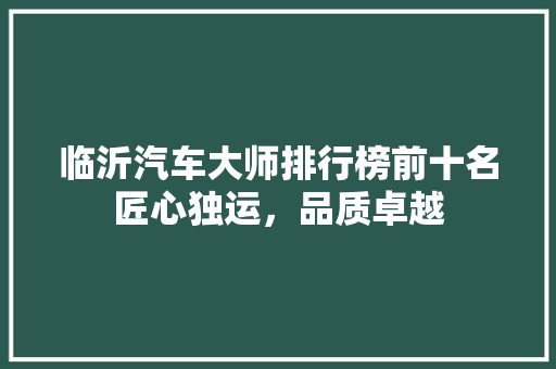 临沂汽车大师排行榜前十名匠心独运，品质卓越