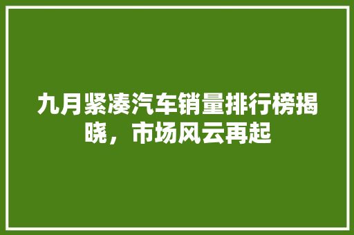九月紧凑汽车销量排行榜揭晓，市场风云再起